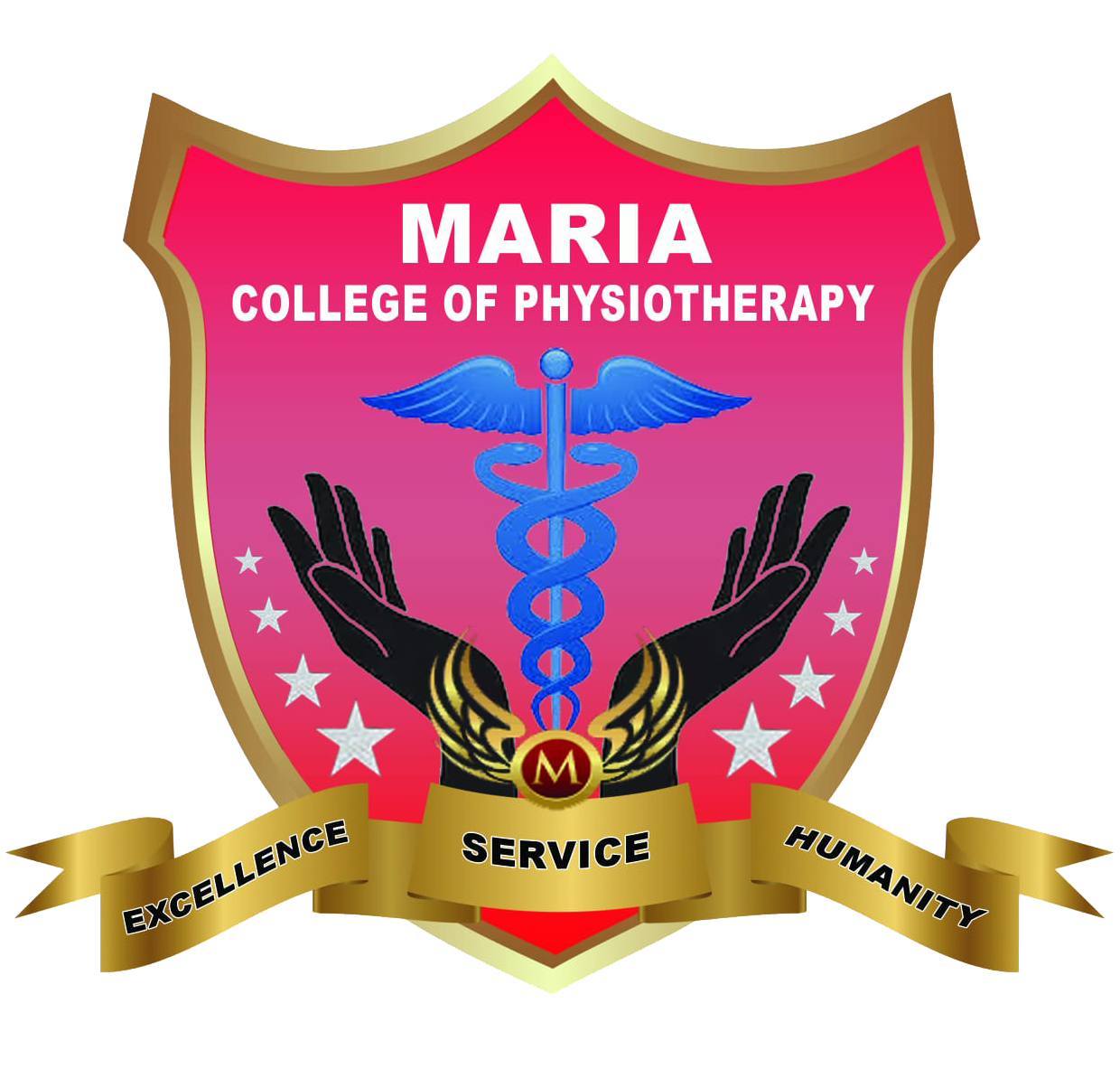 Physiotherapy logo New 